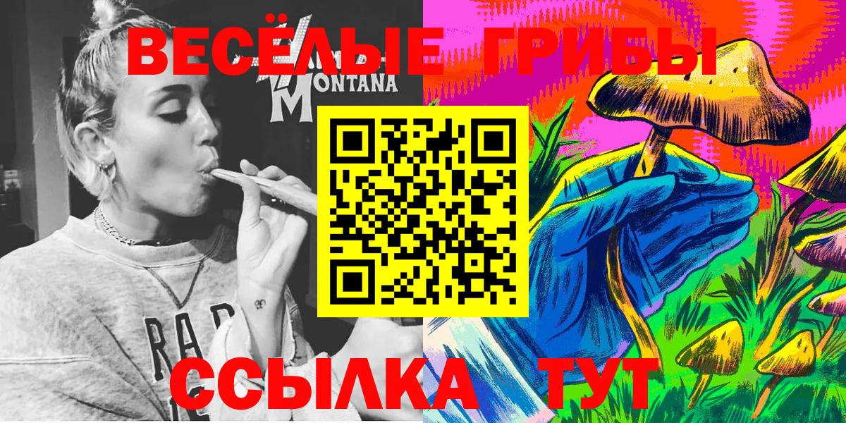 купить закладку  Вход с VPN  Лабинск  Галлюциногенные грибы Psilocybine cubensis 