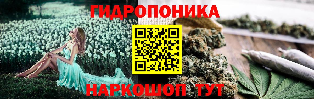 Бошки Шишки марихуана Лабинск